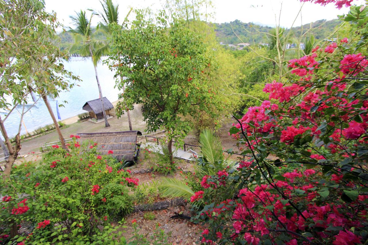 Discovery Island Resort Coron Dış mekan fotoğraf